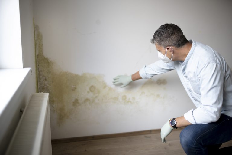 rising damp luton